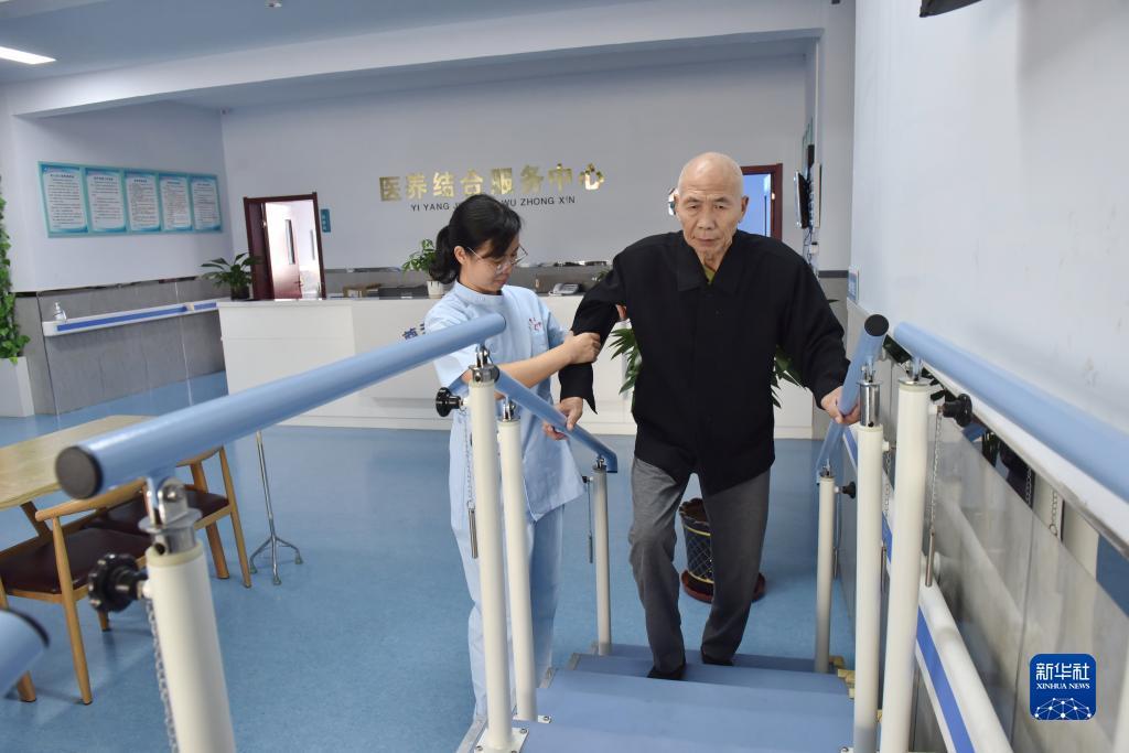 龙宝是什么意思